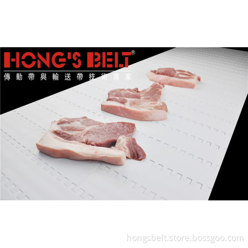 Food Grade Meat Industry Modualr Conveyor Belt (HS-100A)